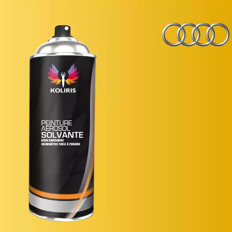 Bombe de peinture voiture solvant Audi 400ml