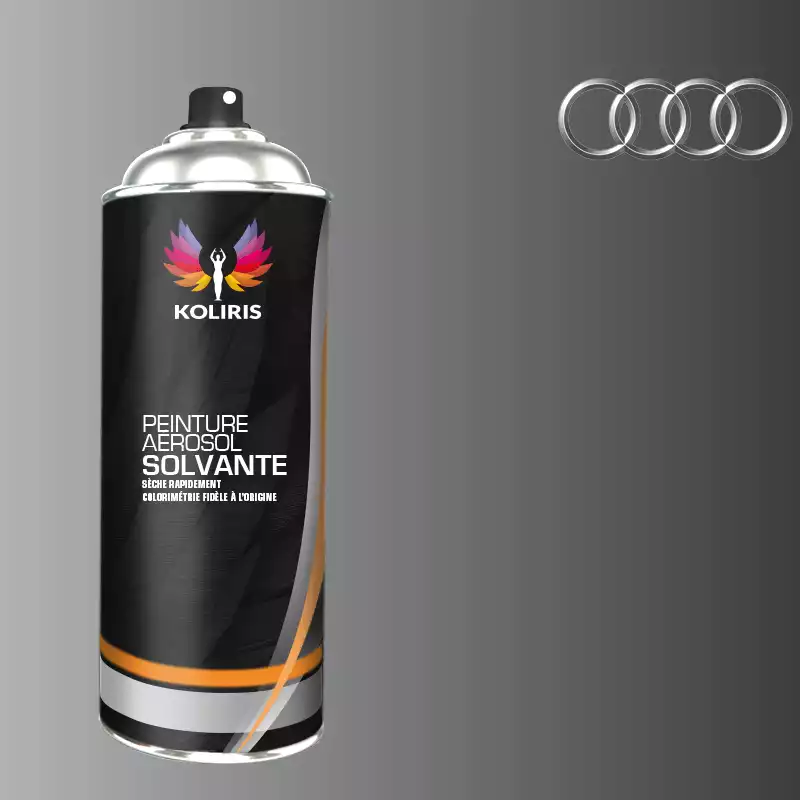 Bombe de peinture voiture solvant Audi 400ml