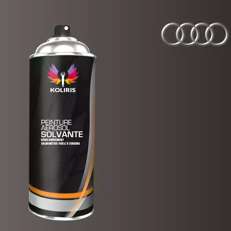 Bombe de peinture voiture solvant Audi 400ml