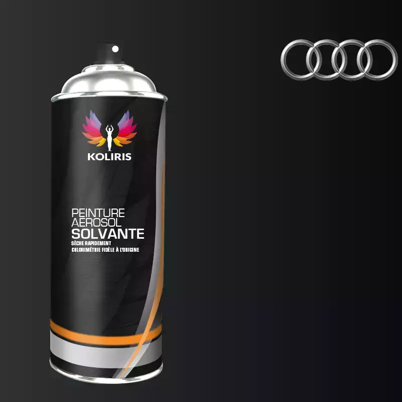 Bombe de peinture voiture solvant Audi 400ml