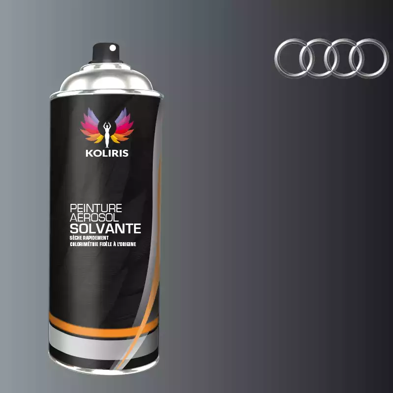 Bombe de peinture voiture solvant Audi 400ml