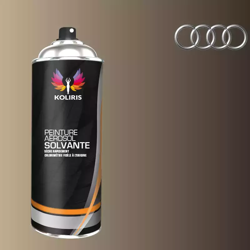 Bombe de peinture voiture solvant Audi 400ml