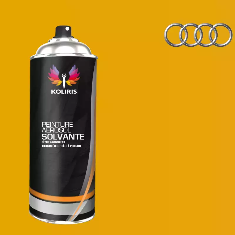 Bombe de peinture voiture solvant Audi 400ml