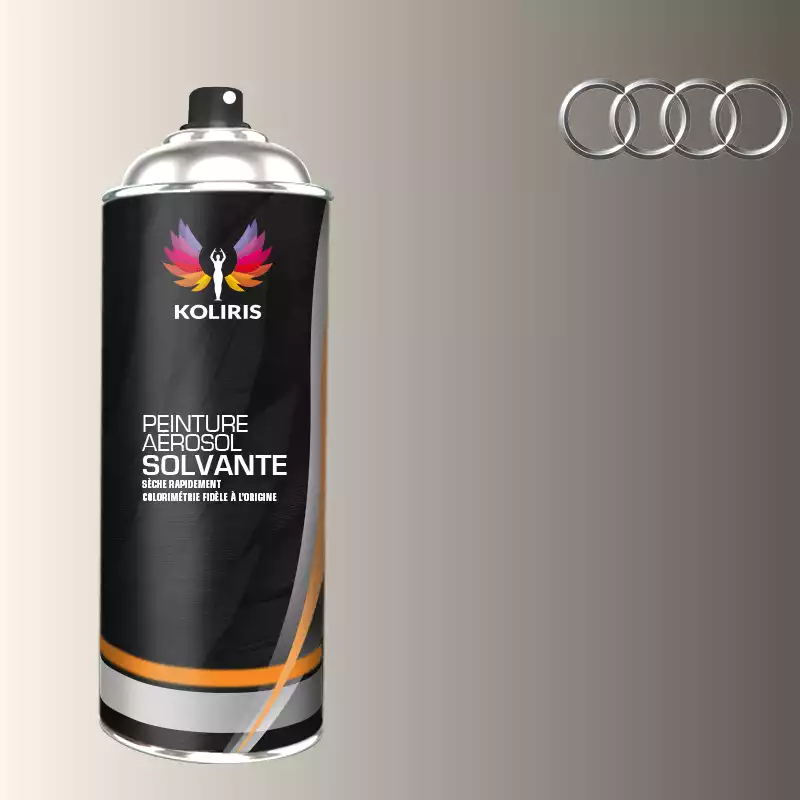 Bombe de peinture voiture solvant Audi 400ml