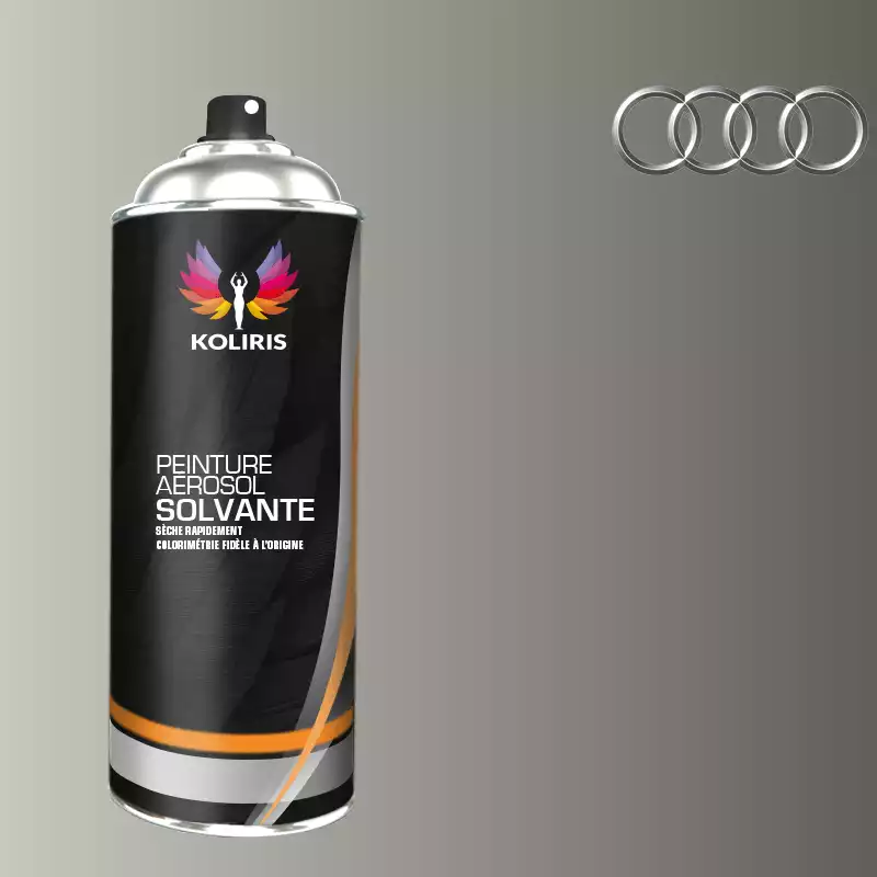 Bombe de peinture voiture solvant Audi 400ml