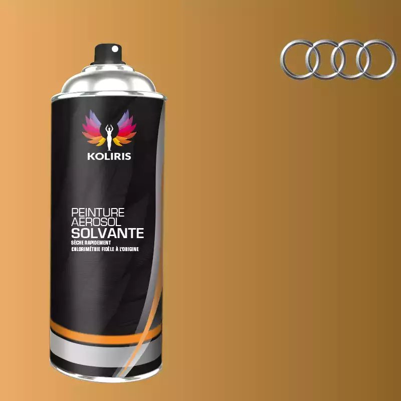 Bombe de peinture voiture solvant Audi 400ml