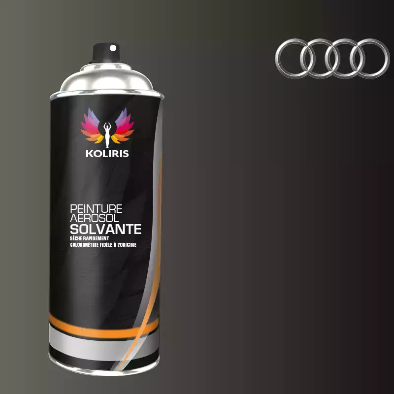 Bombe de peinture voiture solvant Audi 400ml