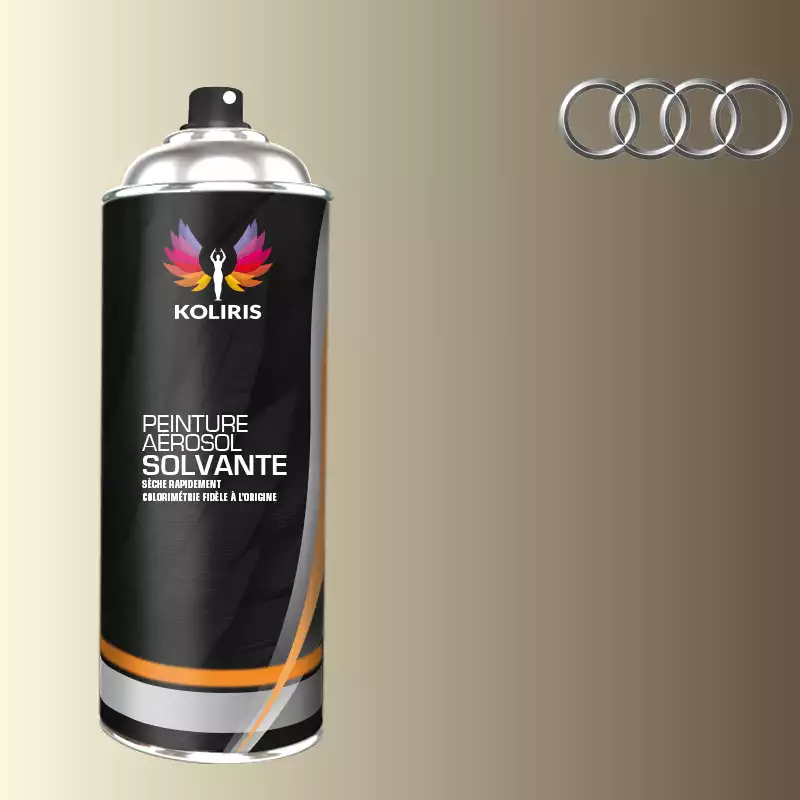 Bombe de peinture voiture solvant Audi 400ml