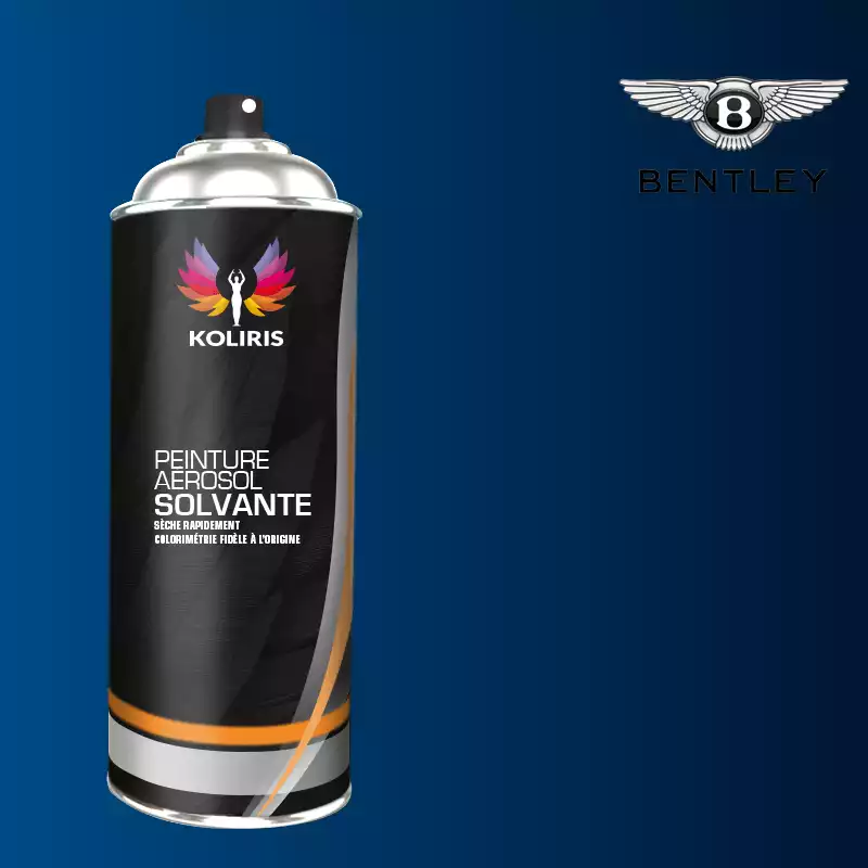 Bombe de peinture voiture solvant Bentley 400ml