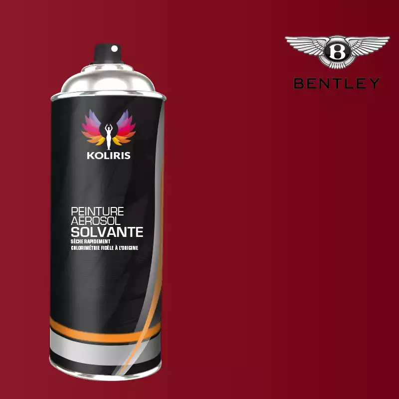 Bombe de peinture voiture solvant Bentley 400ml