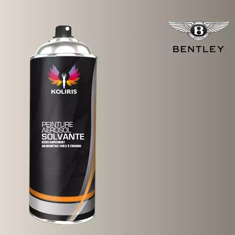 Bombe de peinture voiture solvant Bentley 400ml