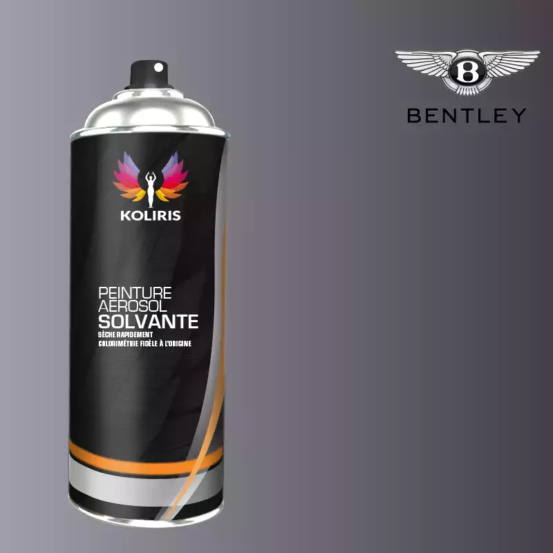 Bombe de peinture voiture solvant Bentley 400ml