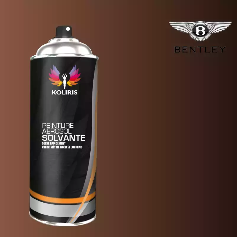 Bombe de peinture voiture solvant Bentley 400ml