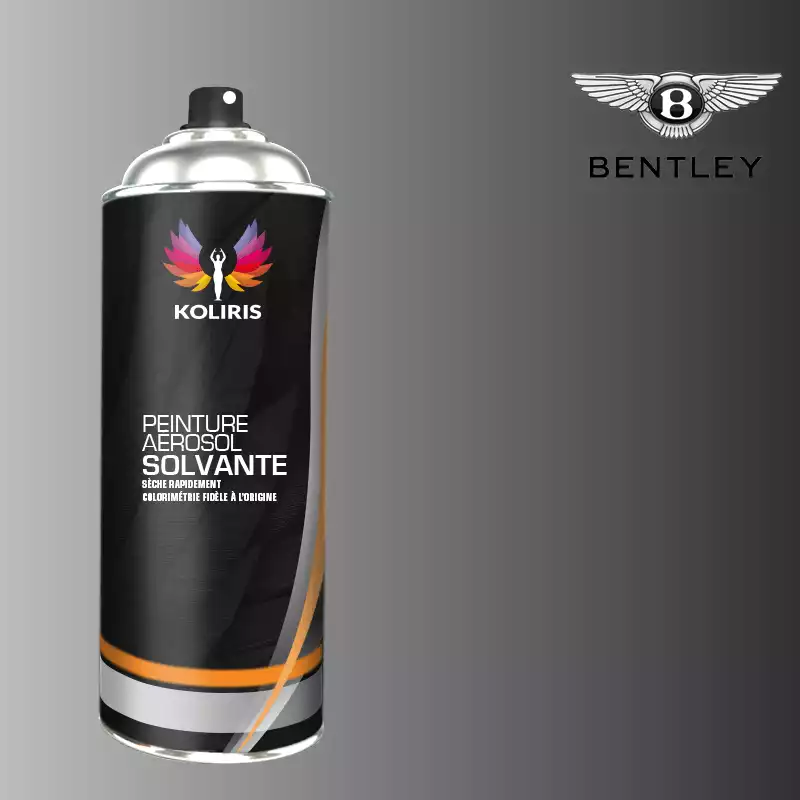 Bombe de peinture voiture solvant Bentley 400ml