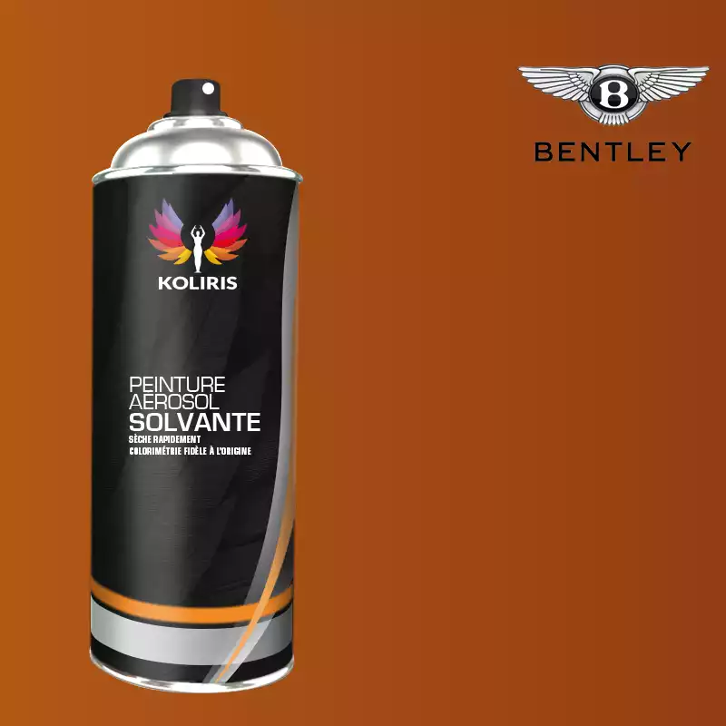 Bombe de peinture voiture solvant Bentley 400ml