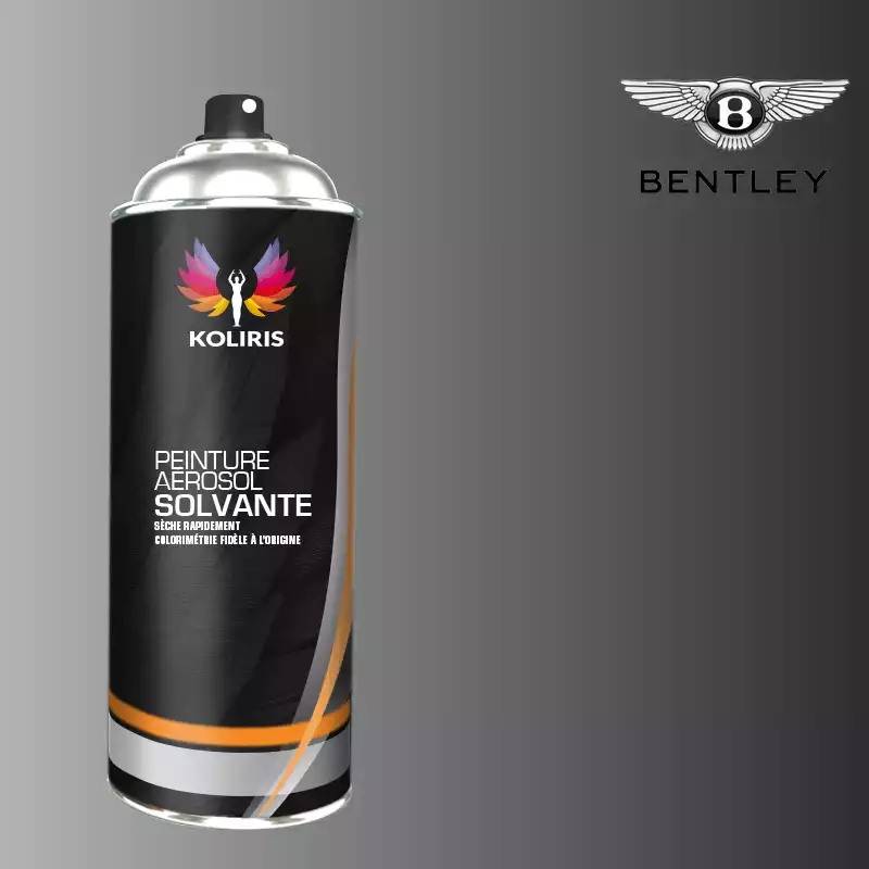 Bombe de peinture voiture solvant Bentley 400ml