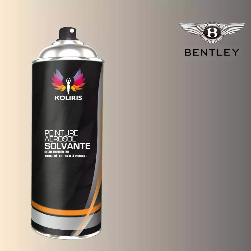 Bombe de peinture voiture solvant Bentley 400ml