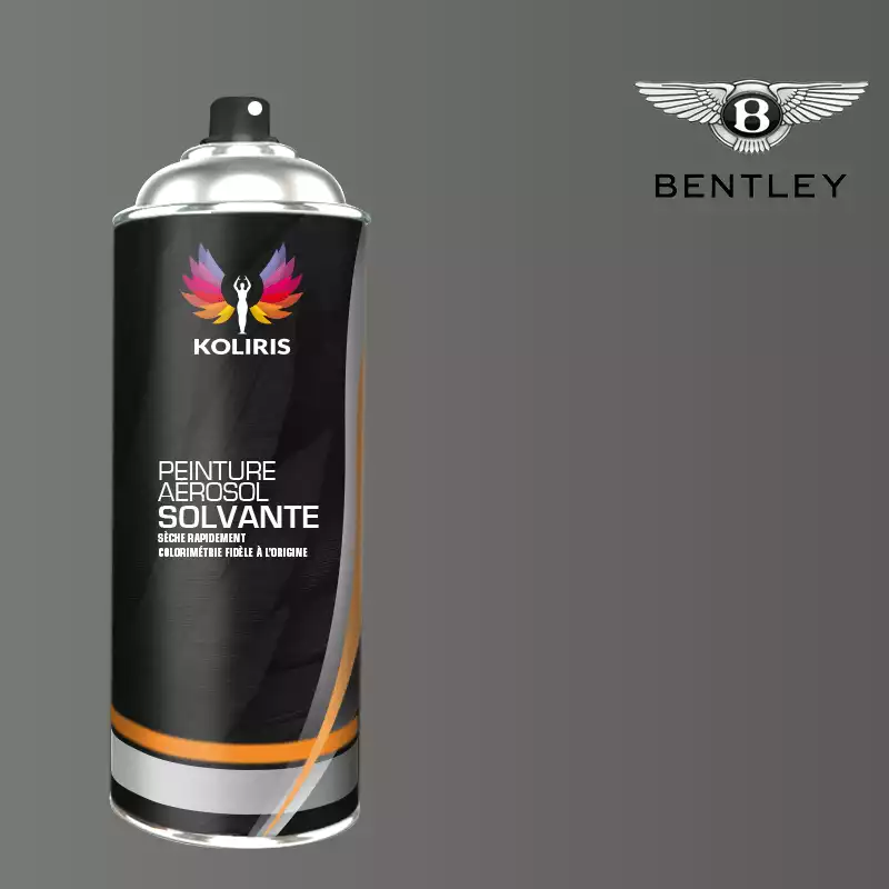 Bombe de peinture voiture solvant Bentley 400ml