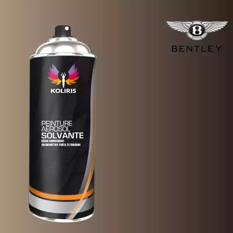 Bombe de peinture voiture solvant Bentley 400ml