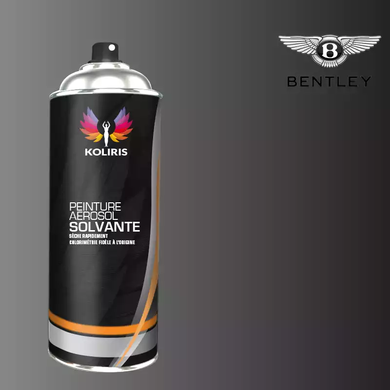 Bombe de peinture voiture solvant Bentley 400ml