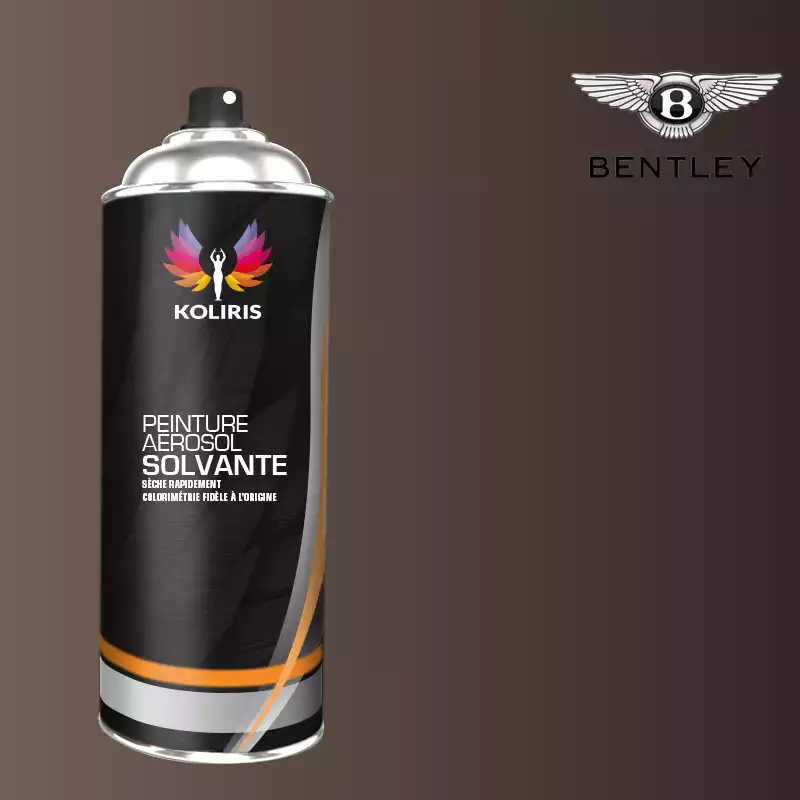 Bombe de peinture voiture solvant Bentley 400ml