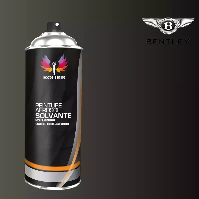 Bombe de peinture voiture solvant Bentley 400ml