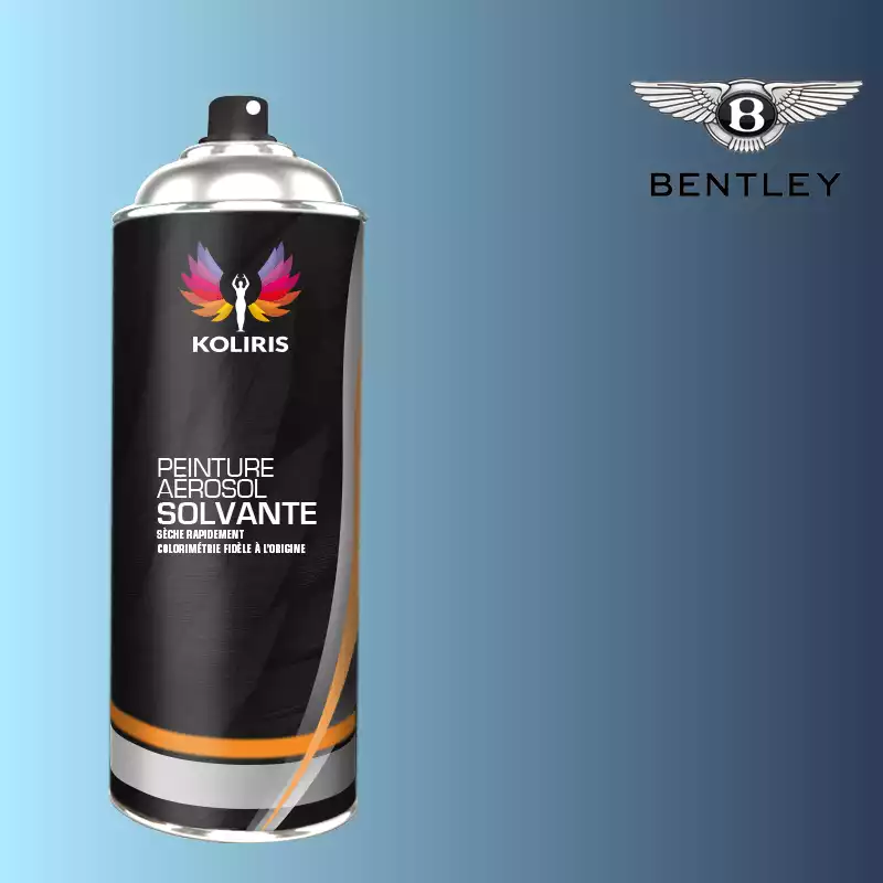 Bombe de peinture voiture solvant Bentley 400ml