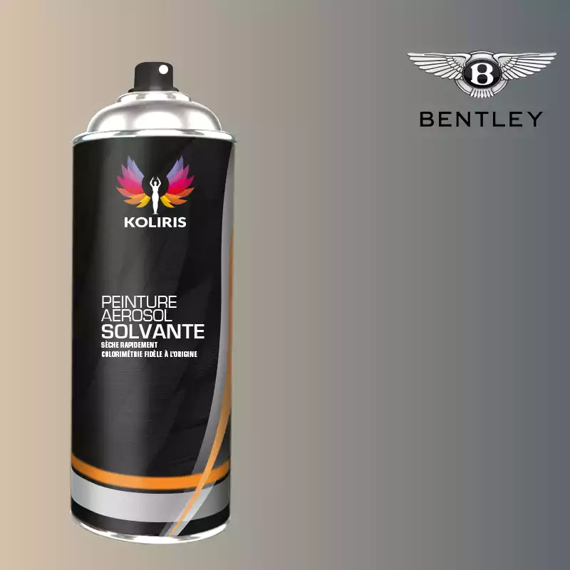 Bombe de peinture voiture solvant Bentley 400ml