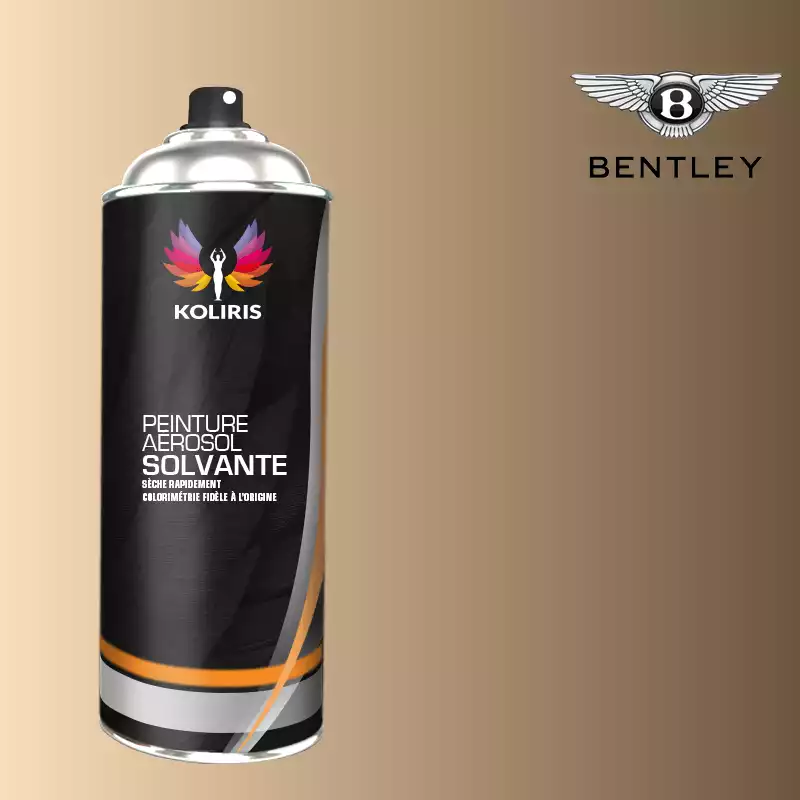 Bombe de peinture voiture solvant Bentley 400ml