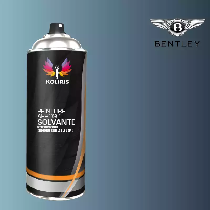 Bombe de peinture voiture solvant Bentley 400ml