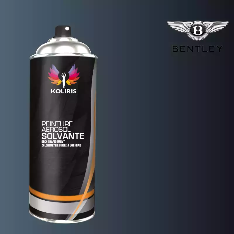 Bombe de peinture voiture solvant Bentley 400ml