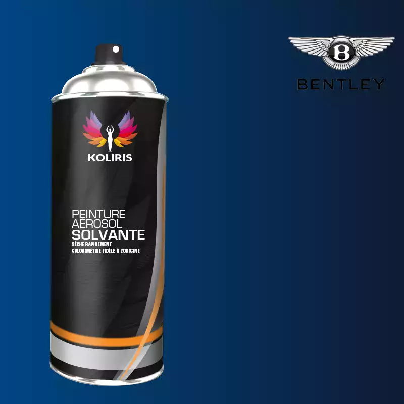 Bombe de peinture voiture solvant Bentley 400ml