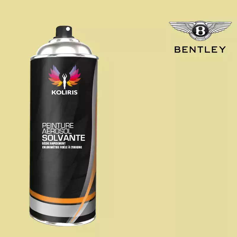 Bombe de peinture voiture solvant Bentley 400ml