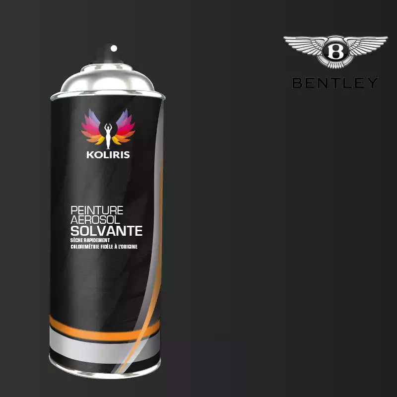 Bombe de peinture voiture solvant Bentley 400ml