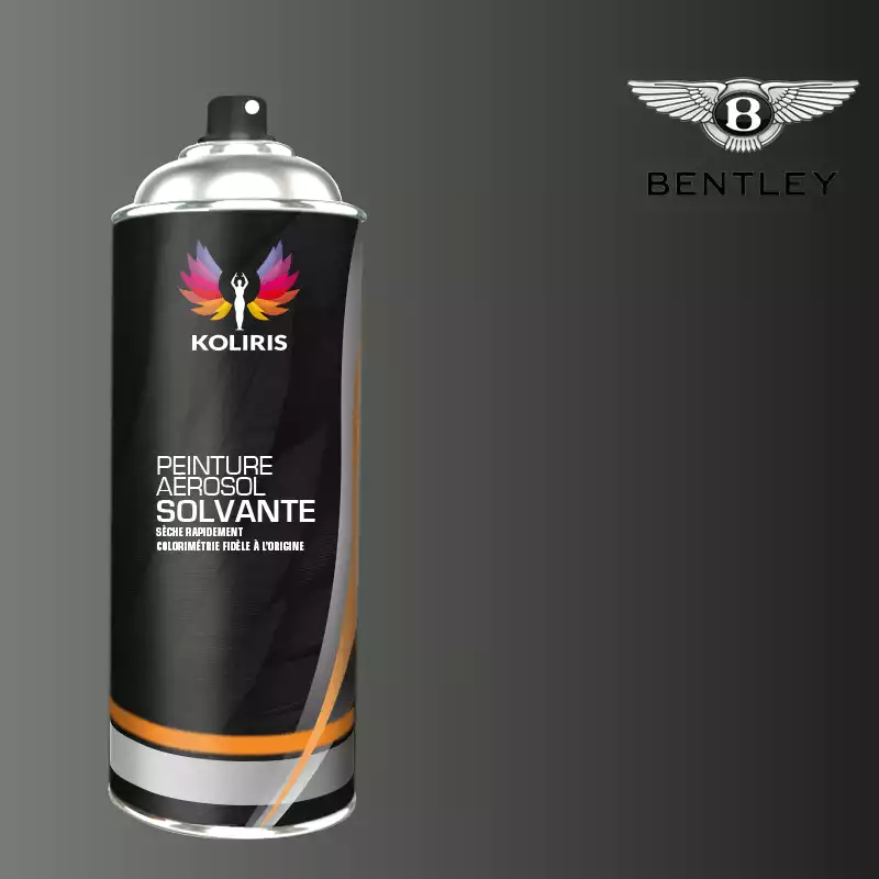 Bombe de peinture voiture solvant Bentley 400ml