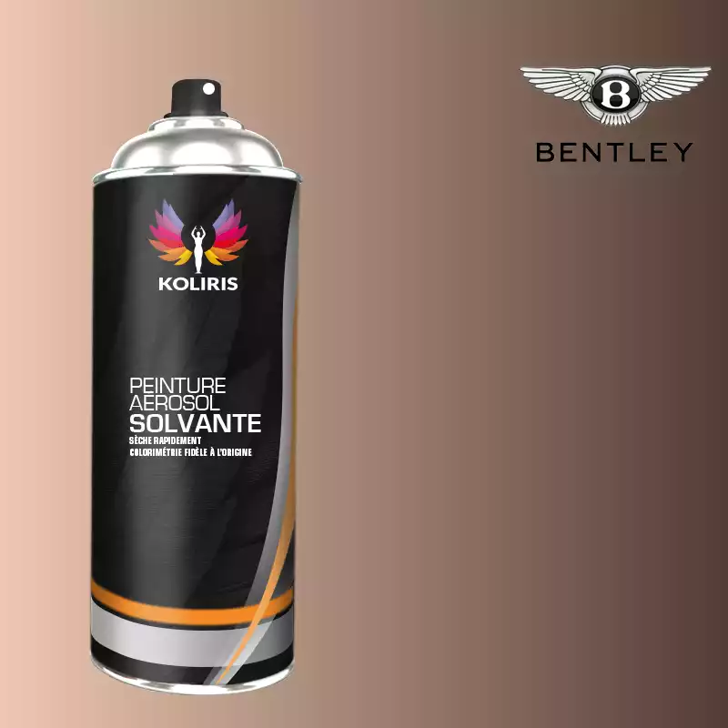 Bombe de peinture voiture solvant Bentley 400ml