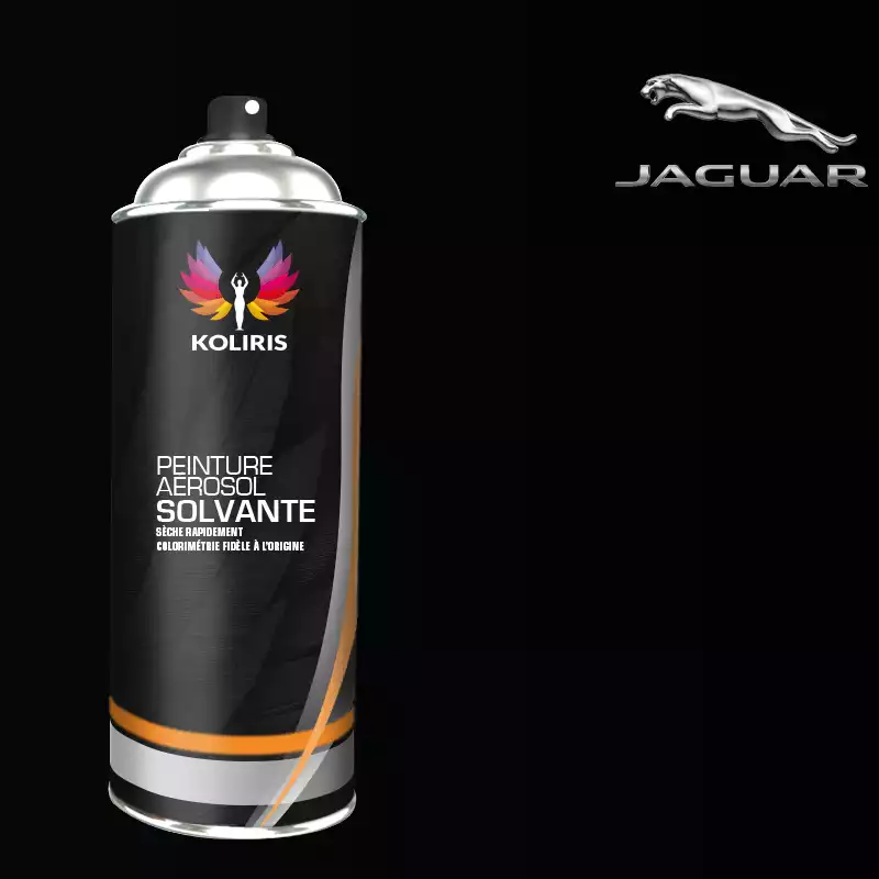 Bombe de peinture voiture solvant Jaguar 400ml