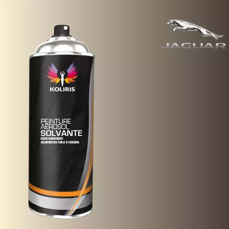 Bombe de peinture voiture solvant Jaguar 400ml