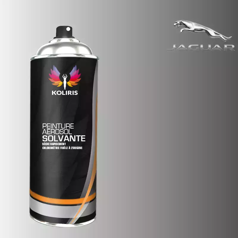 Bombe de peinture voiture solvant Jaguar 400ml