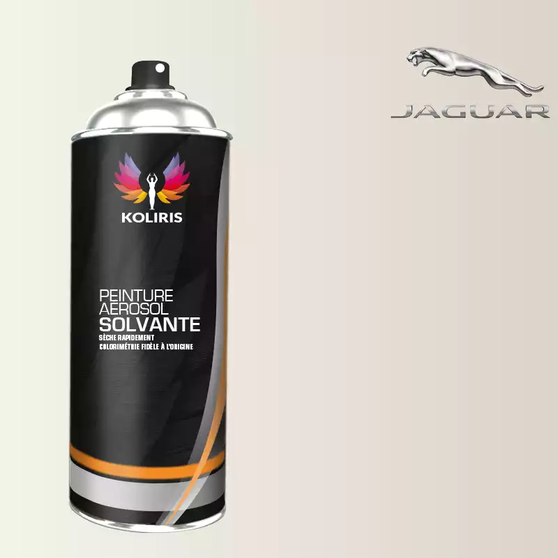 Bombe de peinture voiture solvant Jaguar 400ml