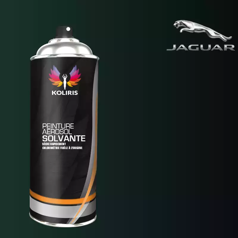 Bombe de peinture voiture solvant Jaguar 400ml