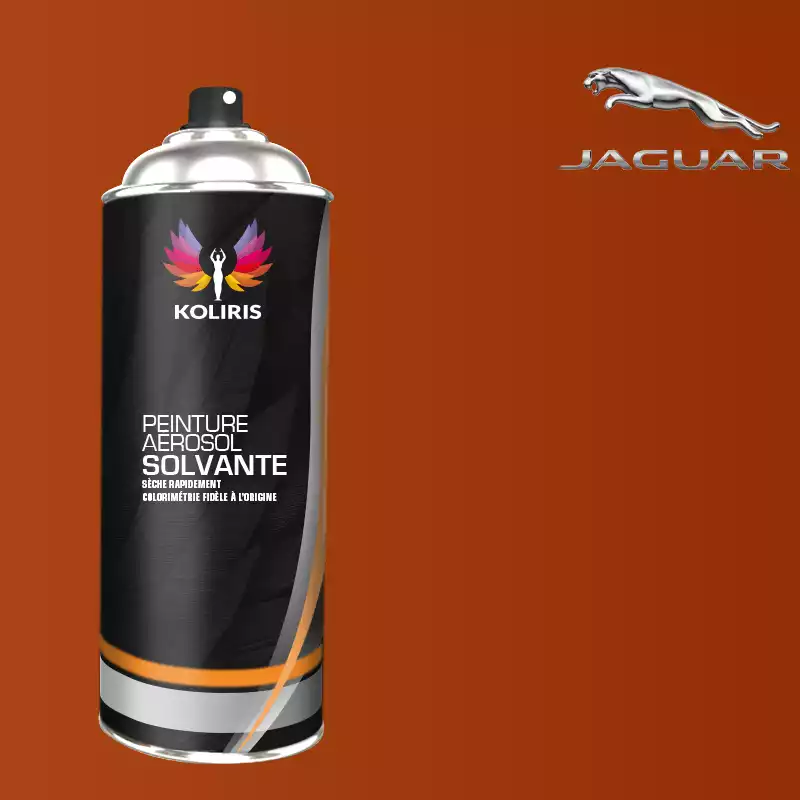 Bombe de peinture voiture solvant Jaguar 400ml