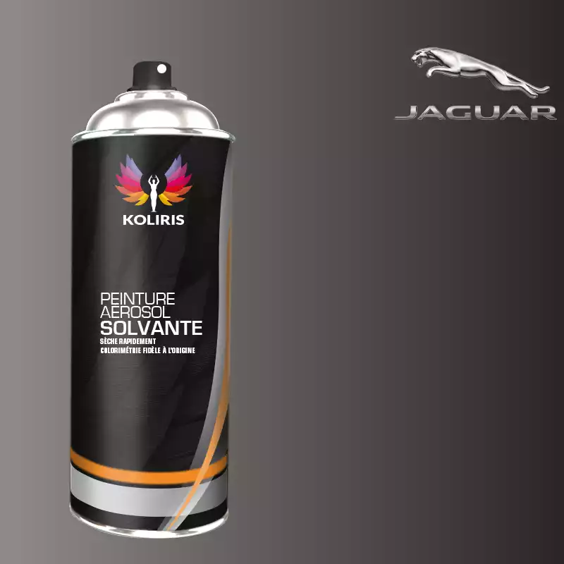 Bombe de peinture voiture solvant Jaguar 400ml