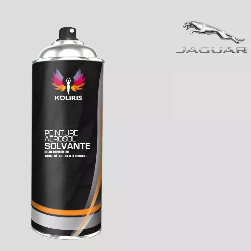 Bombe de peinture voiture solvant Jaguar 400ml