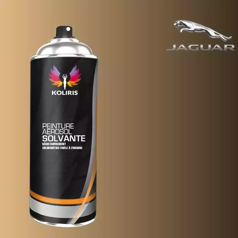 Bombe de peinture voiture solvant Jaguar 400ml