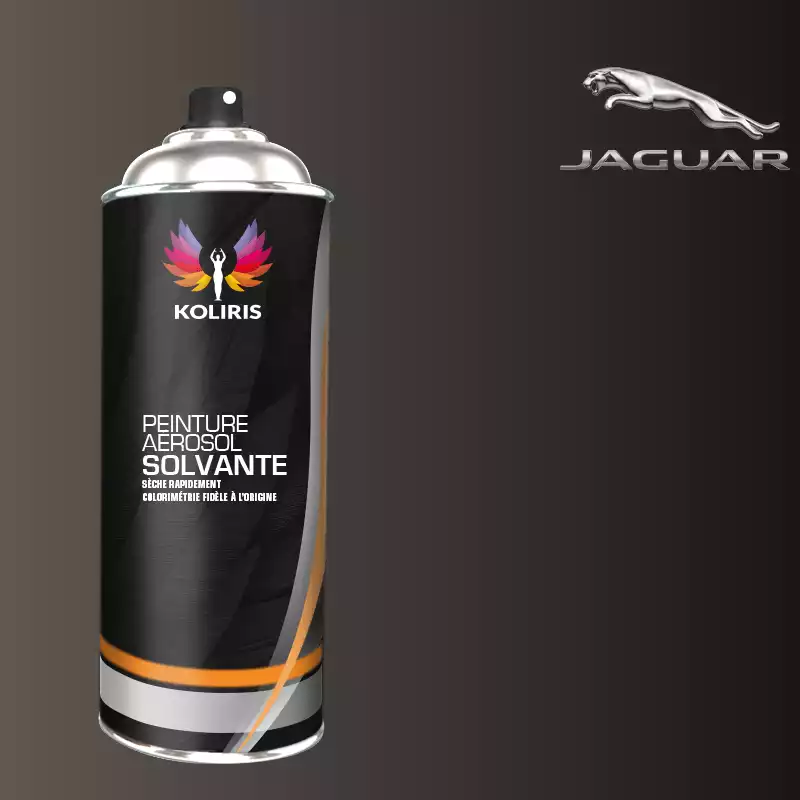 Bombe de peinture voiture solvant Jaguar 400ml