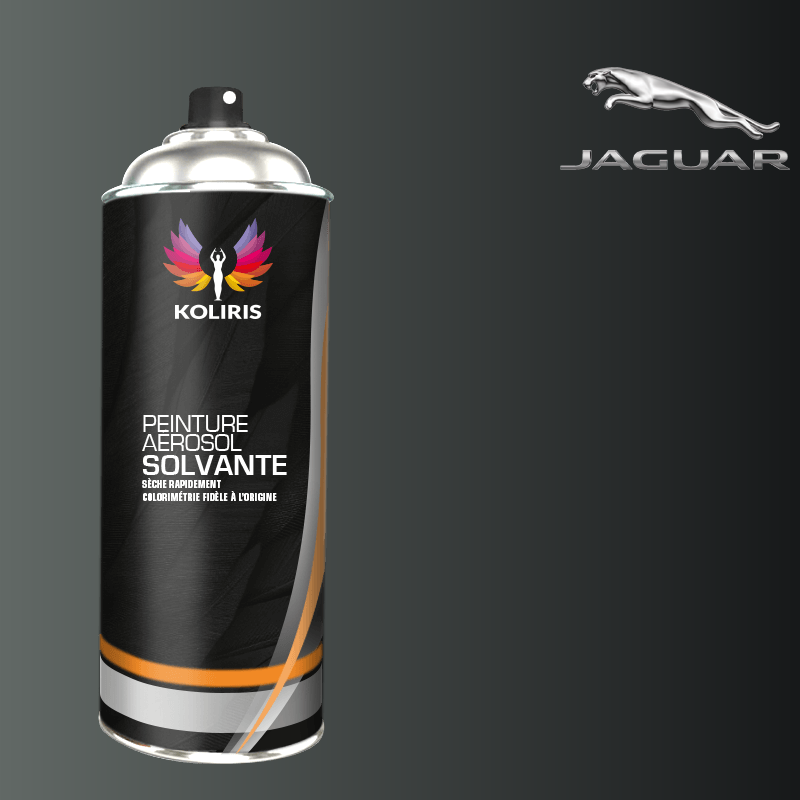 Bombe de peinture voiture solvant Jaguar 400ml