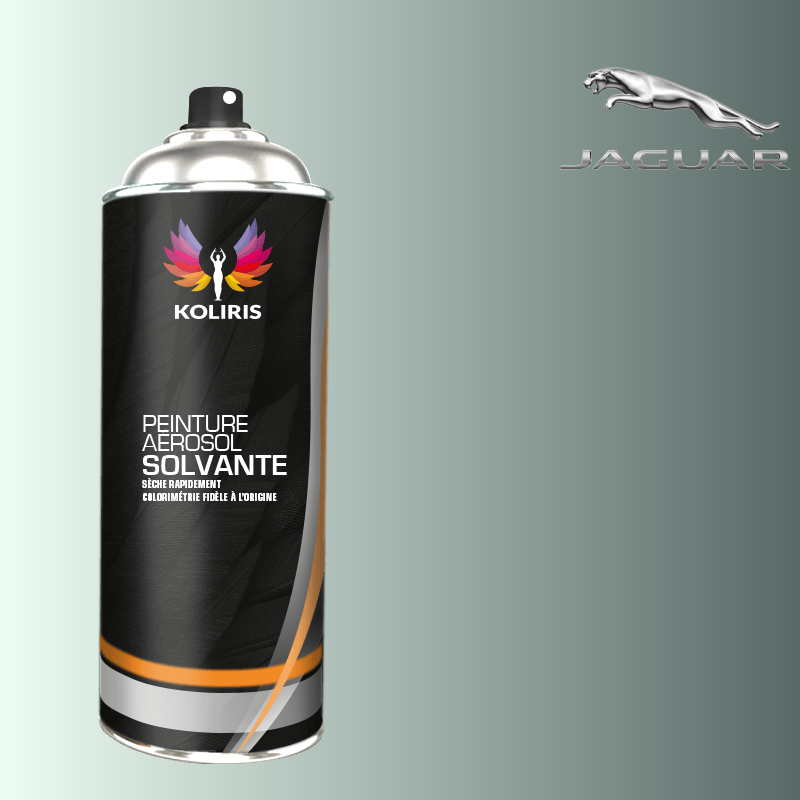 Bombe de peinture voiture solvant Jaguar 400ml