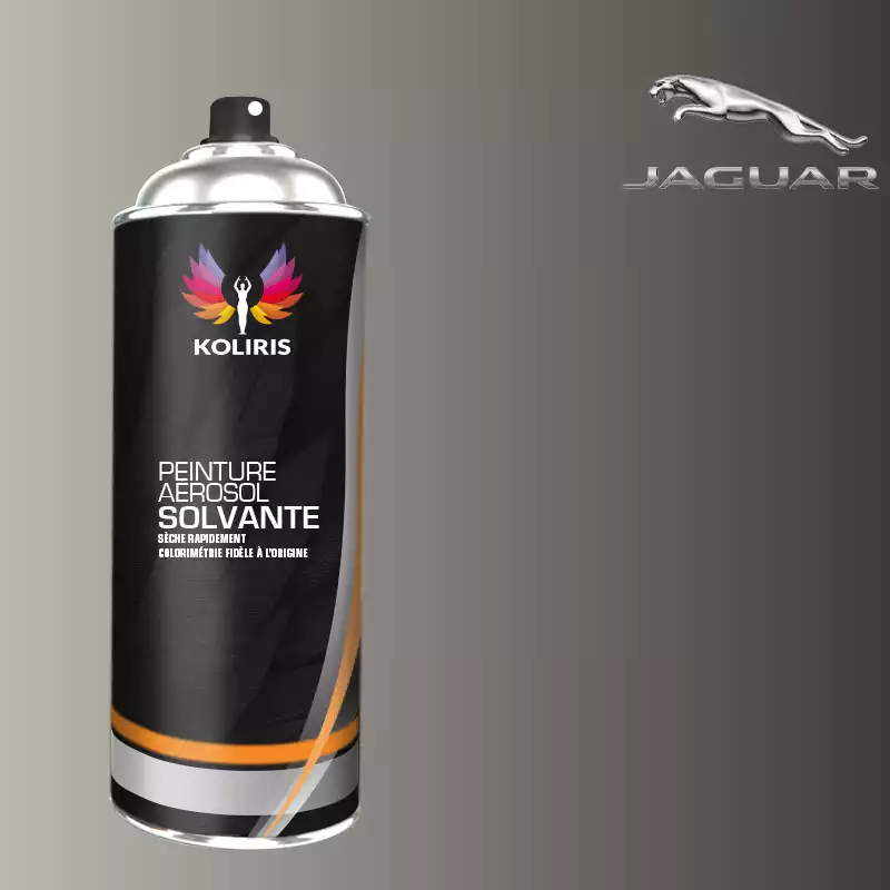 Bombe de peinture voiture solvant Jaguar 400ml