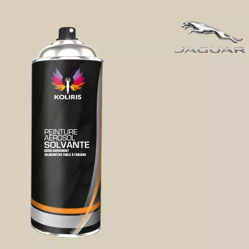 Bombe de peinture voiture solvant Jaguar 400ml